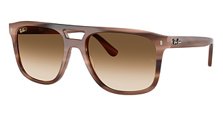 Ray-Ban RB2213