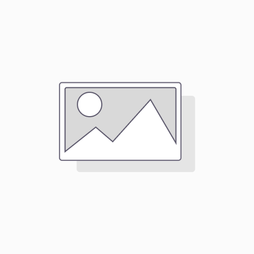 Ray-Ban RB4399F GINA